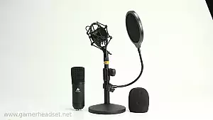 Das Mikrofon